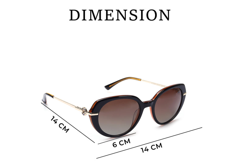 Cateye Full Rim Sunglasses Acetate Female
