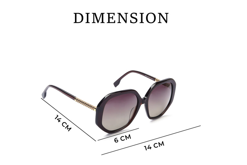 CATEYE FULL RIM Sunglasses Acetate Female