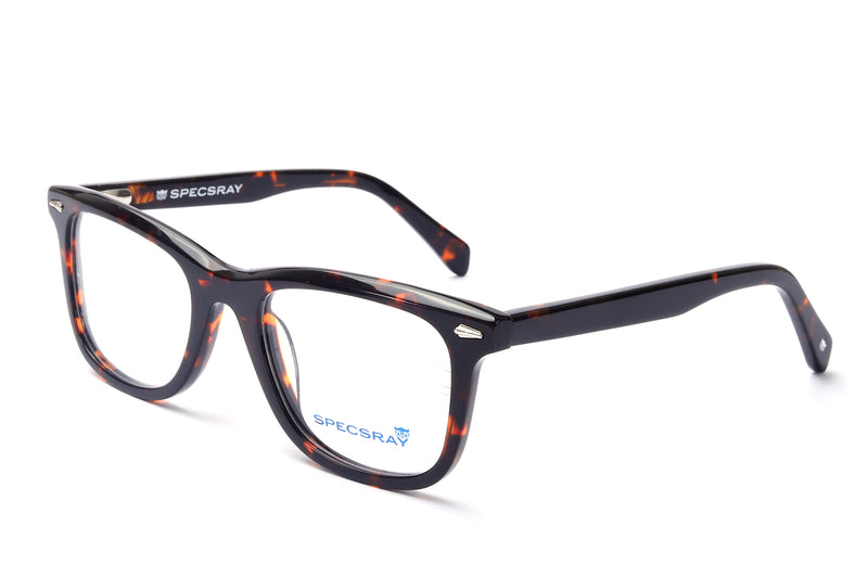 Square Full Rim Eyewear Acetate Male