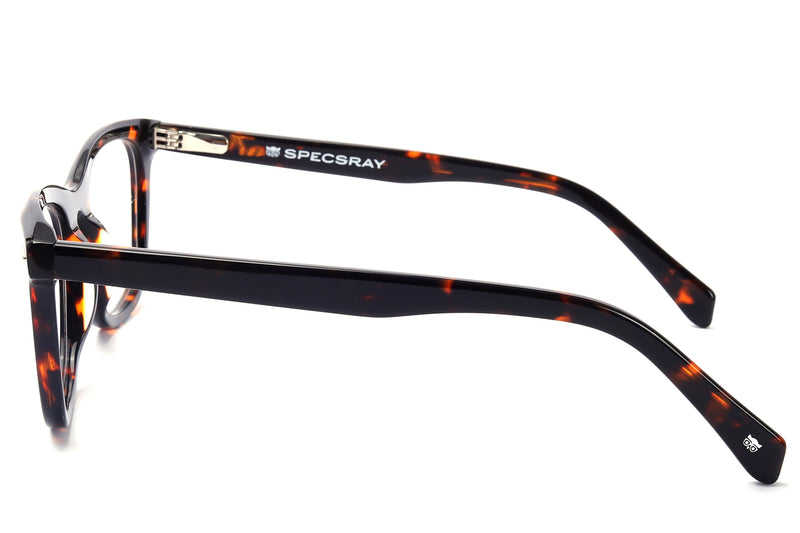 Square Full Rim Eyewear Acetate Male