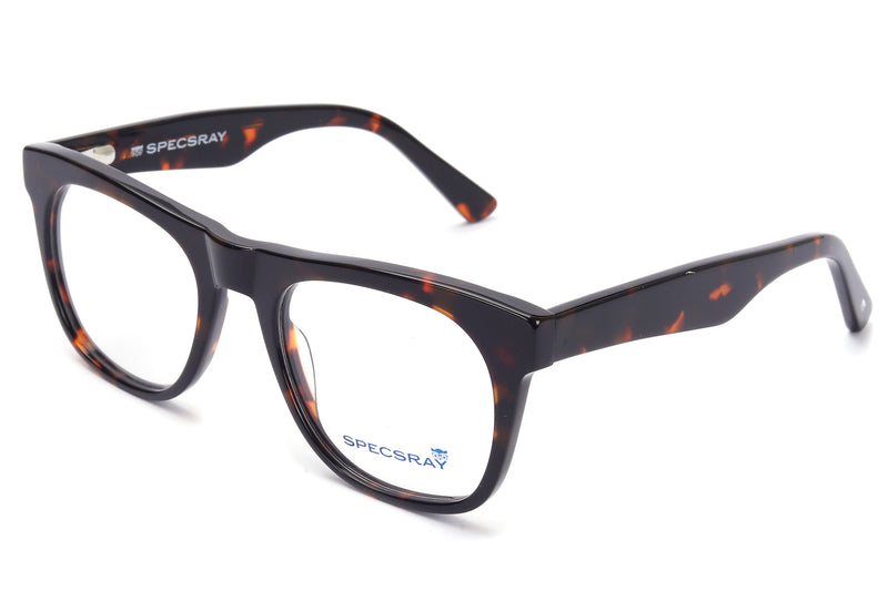 Square Full Rim Eyewear Acetate Male