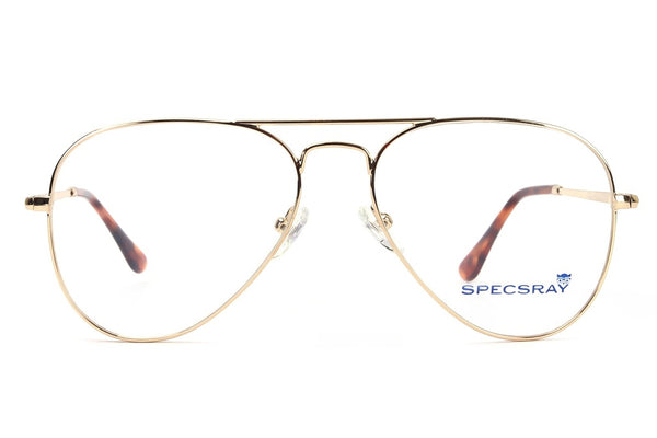 Aviator Full Rim Eyeglasses For Men